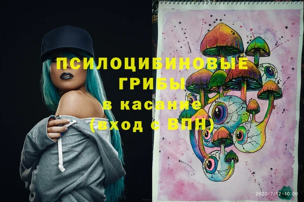 кокс Арсеньев