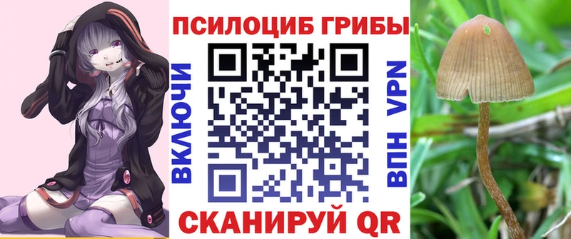 Псилоцибиновые грибы Magic Shrooms  Купить закладки  Выборг 